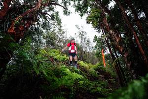 BIB: 
                            <button type="button" onclick="openModal(26203696)" class="btn btn-primary btn-sm float-right btn-popup" data-toggle="modal" data-target=".modal-high-quality">
                        <i class="fas fa-shopping-cart"></i> Add to Cart
                    </button>
                                            <button type="button" onclick="isThisMe(26203696, true)" class="btn btn-success btn-sm float-right btn-popup btn-isme hidden" data-toggle="tooltip" data-placement="bottom" title="นี่คือรูปของคุณใช่ไหม คลิกที่นี่เพื่อเอาเข้าอัลบั้ม">
                        <i class="fas fa-plus"></i> Add to album
                    </button>
                    <button type="button" onclick="isThisMe(26203696, false)" class="btn btn-warning btn-sm float-right btn-popup btn-isnotme hidden">
                        <i class="fas fa-ban"></i> Remove from album
                    </button>